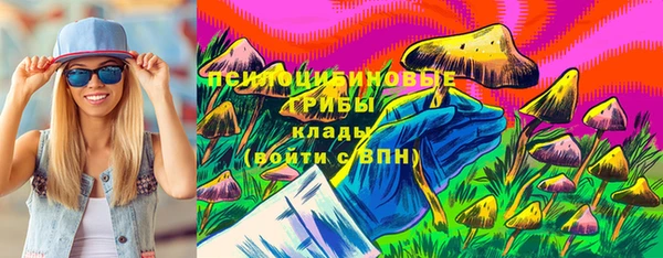 гидропоника Абаза