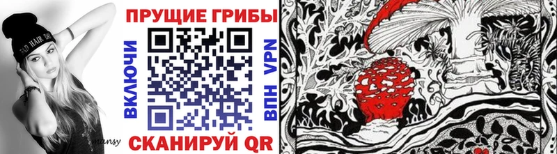 дарнет шоп  Ак-Довурак  Псилоцибиновые грибы ЛСД 